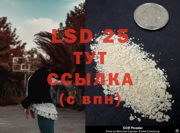 прущие грибы Новокубанск