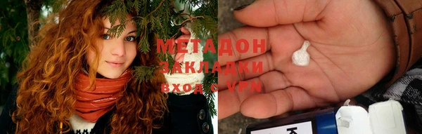 прущие грибы Новокубанск