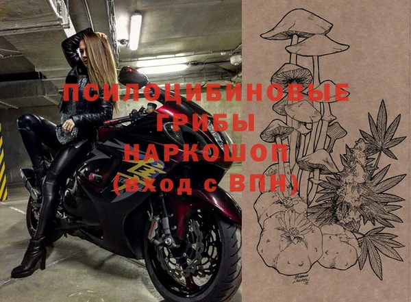 2c-b Новозыбков