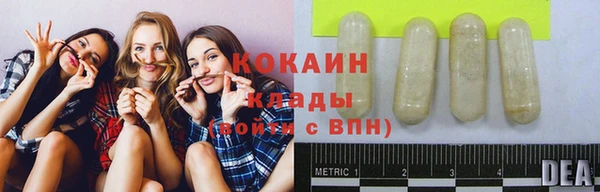 spice Новодвинск