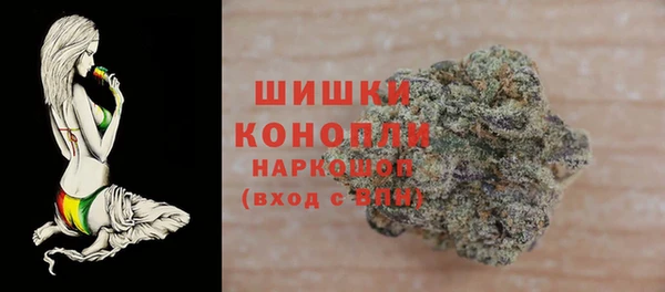 2c-b Новозыбков