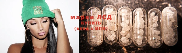 прущие грибы Новокубанск