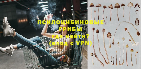 spice Новодвинск