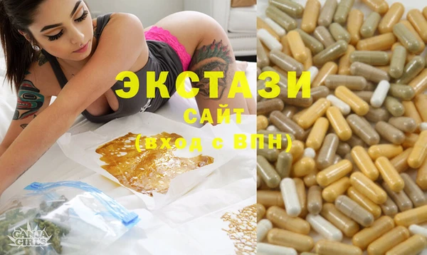 spice Новодвинск