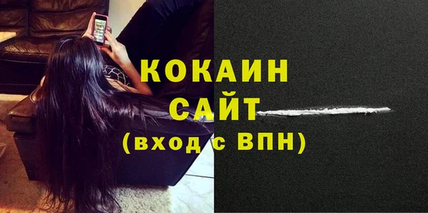 spice Новодвинск
