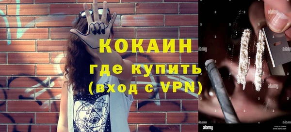прущие грибы Новокубанск