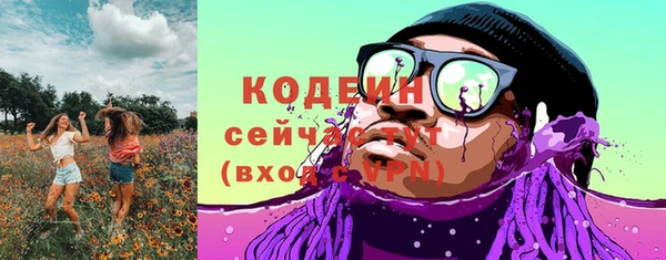 прущие грибы Новокубанск