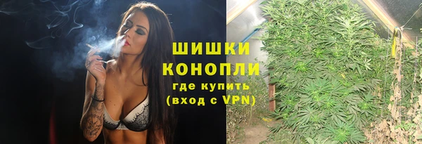 прущие грибы Новокубанск