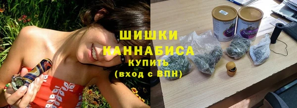 2c-b Новозыбков