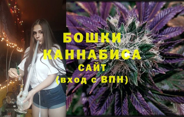 spice Новодвинск