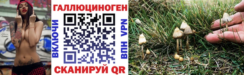Галлюциногенные грибы мицелий  наркотики  Шатура 